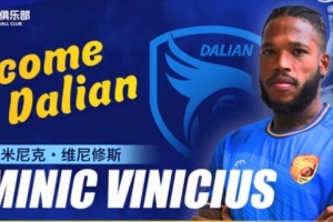 九游体育app-官方：巴西前锋多米尼克-维尼修斯加盟大连鲲城